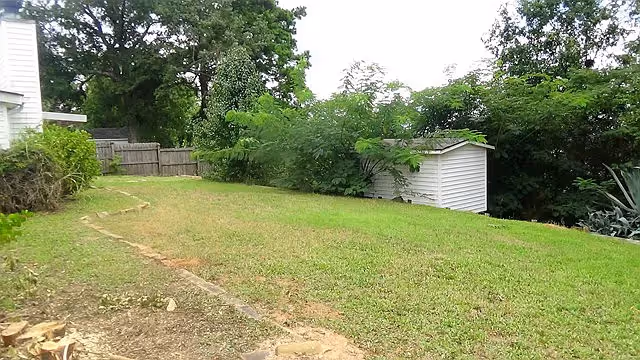 A grassy backyard area with a small white shed surrounded by trees and bushes. There is a wooden fence in the background and part of a white building is visible on the left side.