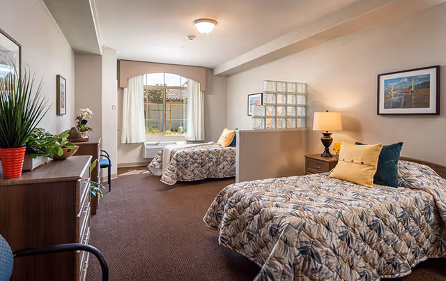 A bright and cozy bedroom with two twin beds, each with patterned bedspreads and decorative pillows. The room features a window with white curtains letting in natural light, a wooden dresser with plants and decor, a nightstand with a lamp, and framed artwork on the walls. A partial glass block divider separates the beds.