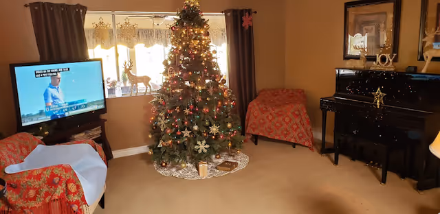 Cozy living room with a decorated Christmas tree, television, piano, and upholstered chairs.