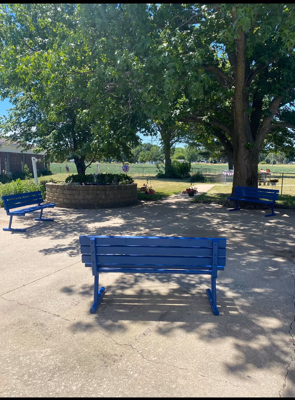 Concrete courtyard with blue benches under large shade trees around a raised circular planter overlooking a grassy field.