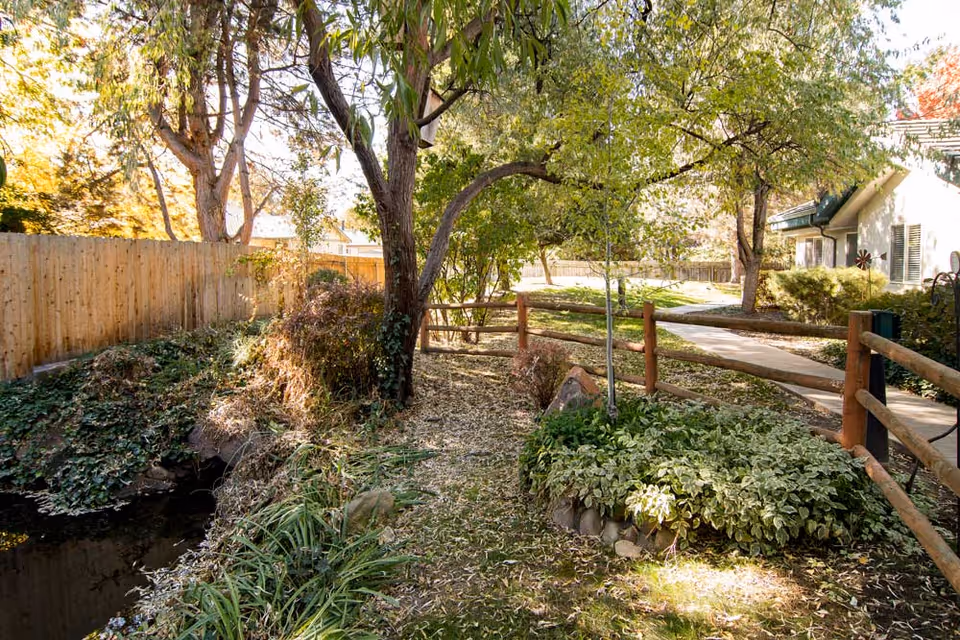 A peaceful outdoor garden area with a wooden fence, trees, shrubs, and a small water feature. A paved walkway curves through the greenery beside a building with windows and a green roof.