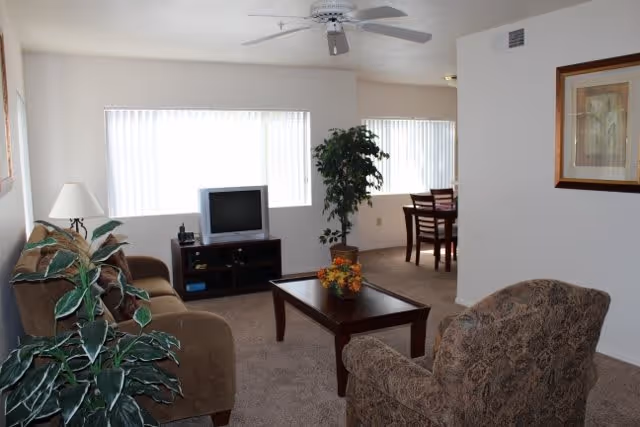 A cozy living room area with a brown sofa, patterned armchair, wooden coffee table with a flower arrangement, a small TV on a stand, a floor lamp, and a large potted plant. In the background, there is a dining area with a wooden table and chairs, and large windows with vertical blinds letting in natural light.