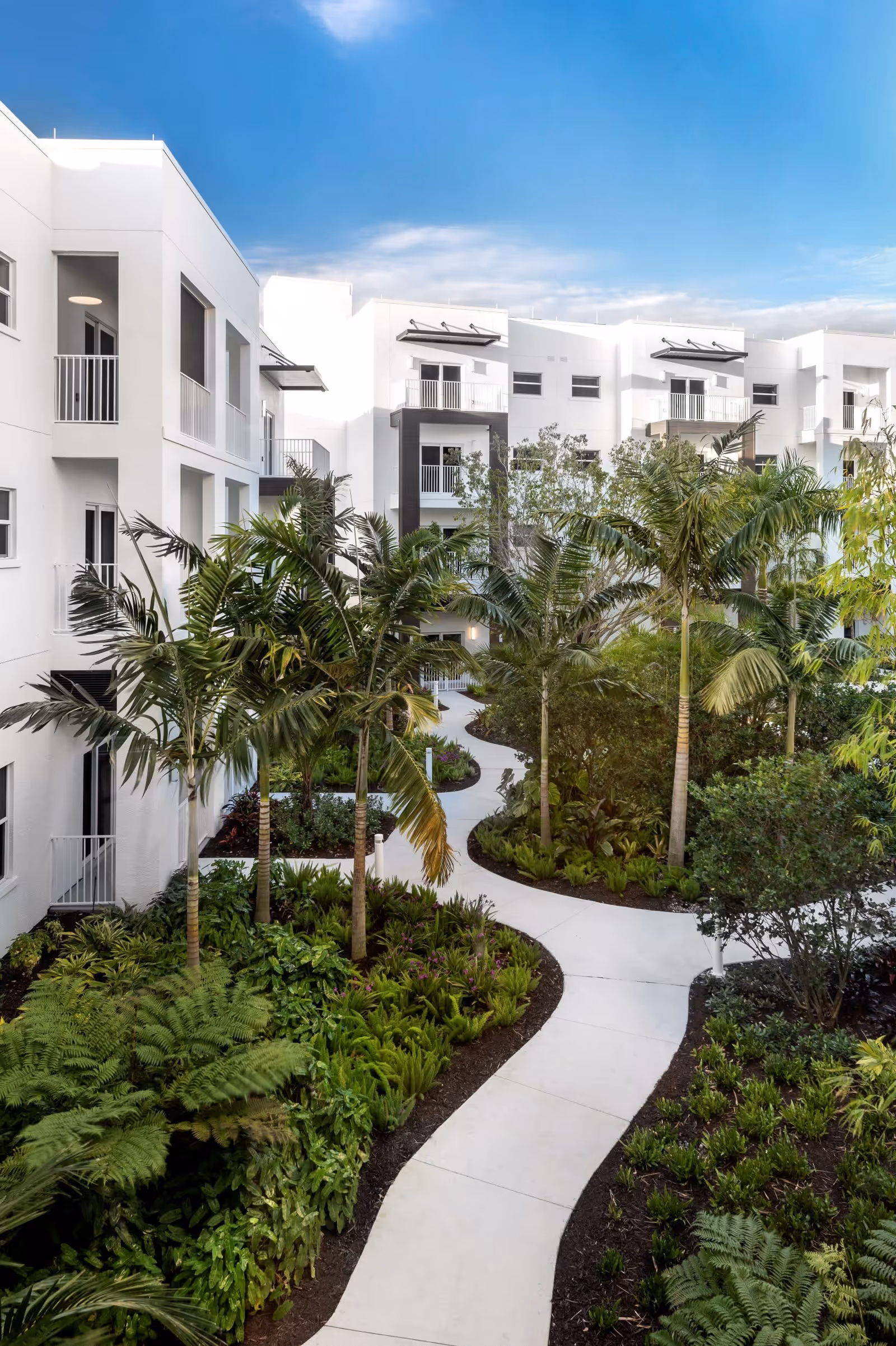 Curved concrete pathway winding through a landscaped garden with palm trees and various green plants, surrounded by a modern white multi-story building under a clear blue sky.