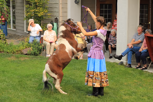 A young woman in a colorful dress is training a small brown and white pony to rear up on its hind legs on a grassy lawn. Several elderly people are seated around the lawn and on a porch, watching the interaction and smiling. The setting appears to be outside a residential building with plants and shrubs nearby.
