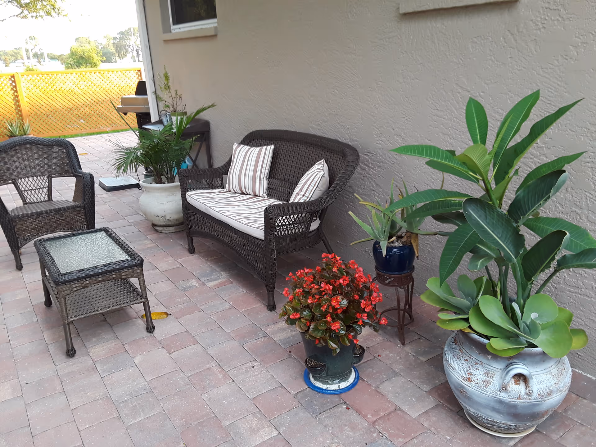 Outdoor patio area with a wicker loveseat and chair, a glass-top wicker table, and several potted plants including a large leafy plant, a succulent, and a flowering plant with red blooms. The patio has brick flooring and a beige stucco wall.