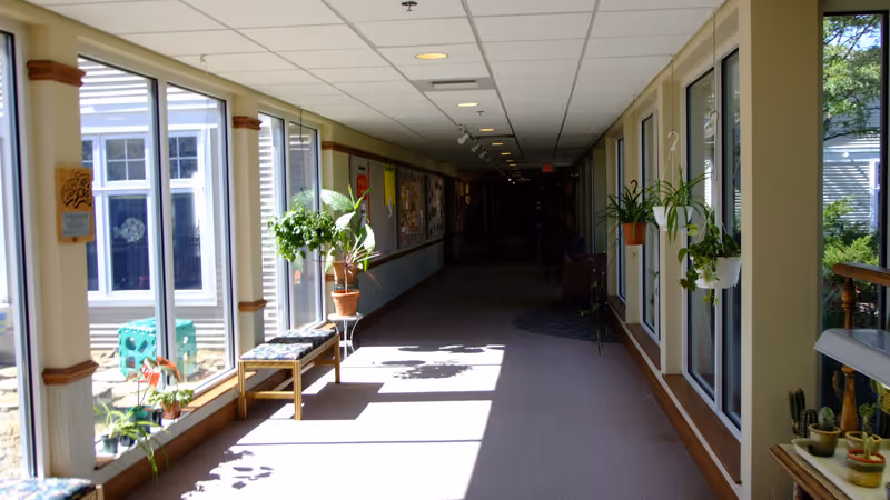 A bright indoor hallway with large windows on both sides letting in sunlight. The hallway features several potted plants on the windowsills and hanging from the ceiling. There are benches along the windows and bulletin boards on the walls. The far end of the hallway is dimly lit.