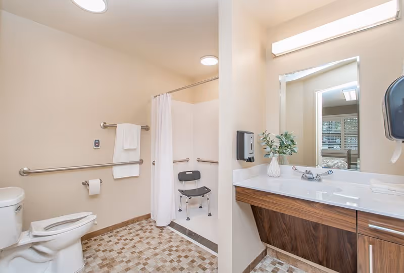 A clean, accessible bathroom with a toilet, grab bars, a shower area with a white curtain and a shower chair, a wooden vanity with a white countertop, a mirror, a soap dispenser, and a small plant in a vase. The floor has a mosaic tile pattern and the walls are painted beige.