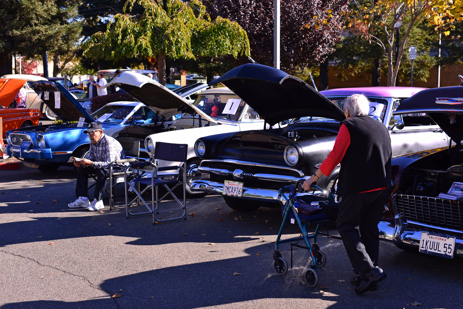 An outdoor classic car show with several vintage cars lined up with their hoods open. An elderly man is sitting on a folding chair reading a book, and an elderly woman with a walker is walking past the cars. Trees and other people are visible in the background.