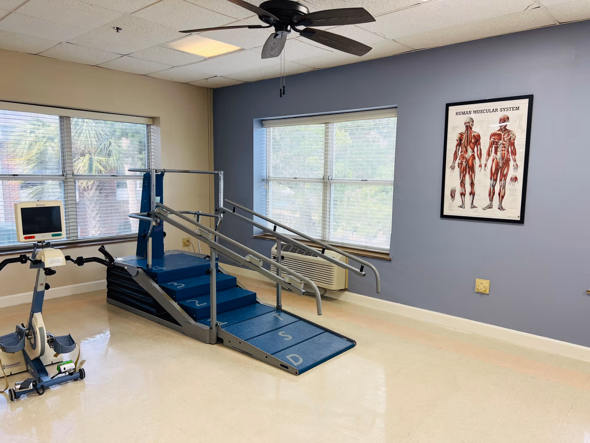 A rehabilitation room with a blue exercise staircase and ramp equipped with handrails, a stationary exercise bike, two large windows with blinds, a ceiling fan, and a framed human muscular system chart on a blue wall.
