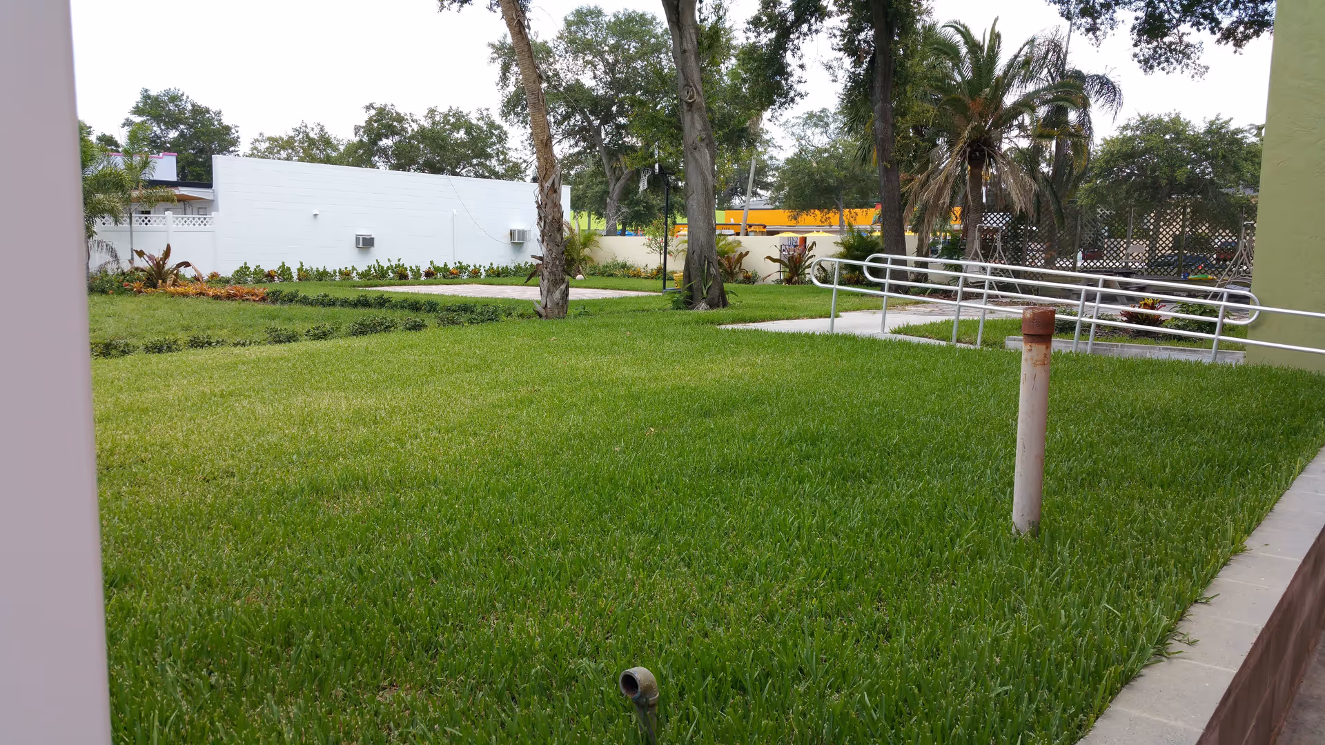 Outdoor garden area with green grass, trees, and plants. There is a white building wall in the background, a metal handrail ramp on the right side, and a rusty pipe protruding from the grass near the foreground.