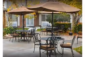 Outdoor patio area with several metal tables and chairs, each table shaded by large beige umbrellas. The patio is surrounded by greenery including bushes and trees with autumn-colored leaves. A building with windows is visible in the background.