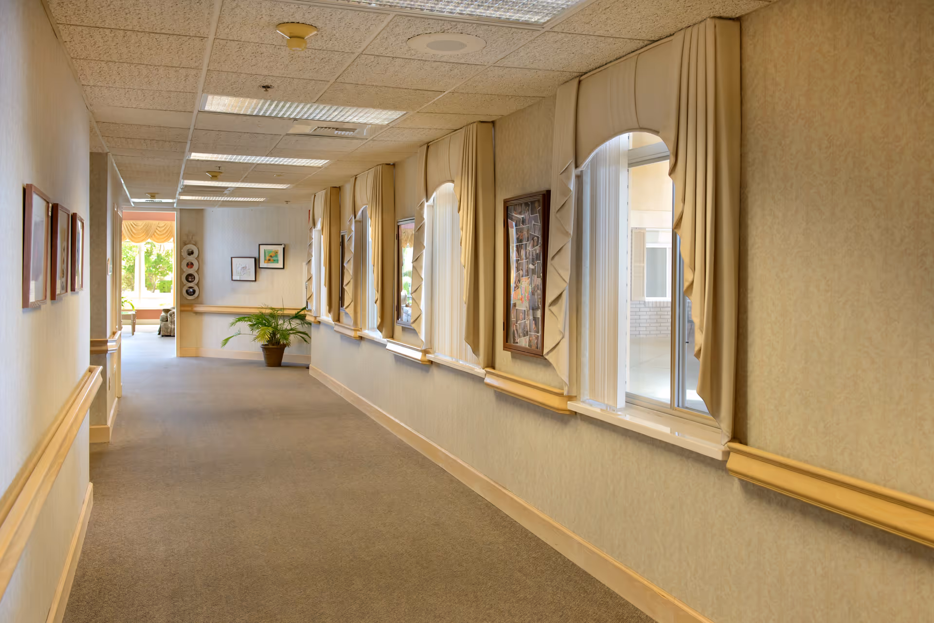 A well-lit hallway in a senior living facility with beige walls and carpeted floor. The right side features several windows with decorative curtains and framed pictures between them. The left wall has framed artwork. At the end of the hallway, there is a potted plant and more artwork on the wall, with a glimpse of a seating area near a window letting in natural light.