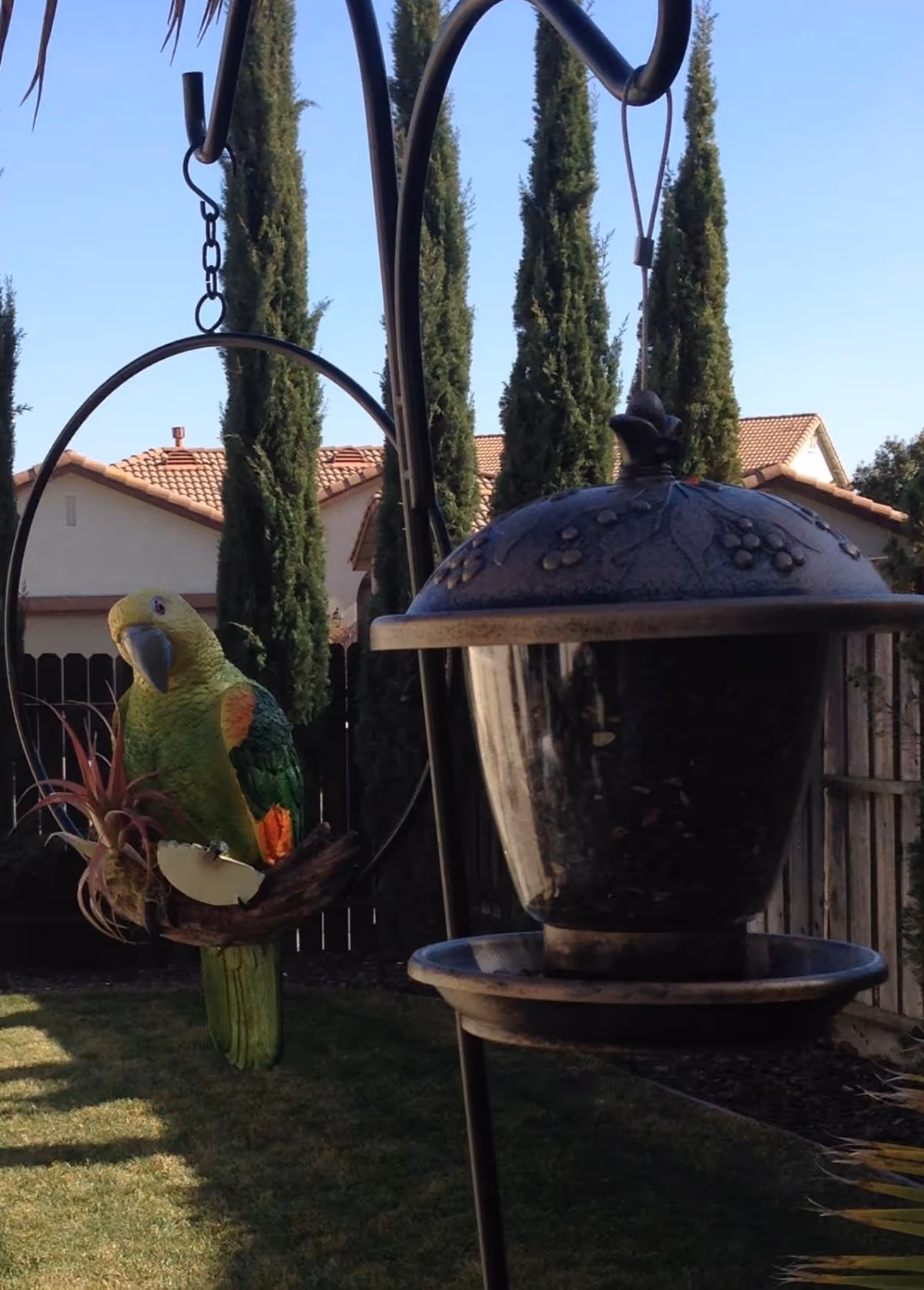 A backyard scene featuring a decorative green and orange parrot perched on a circular metal stand with a small plant and a slice of apple. Next to it is a hanging bird feeder filled with seeds. In the background, there are tall cypress trees, a wooden fence, and houses with tiled roofs under a clear blue sky.