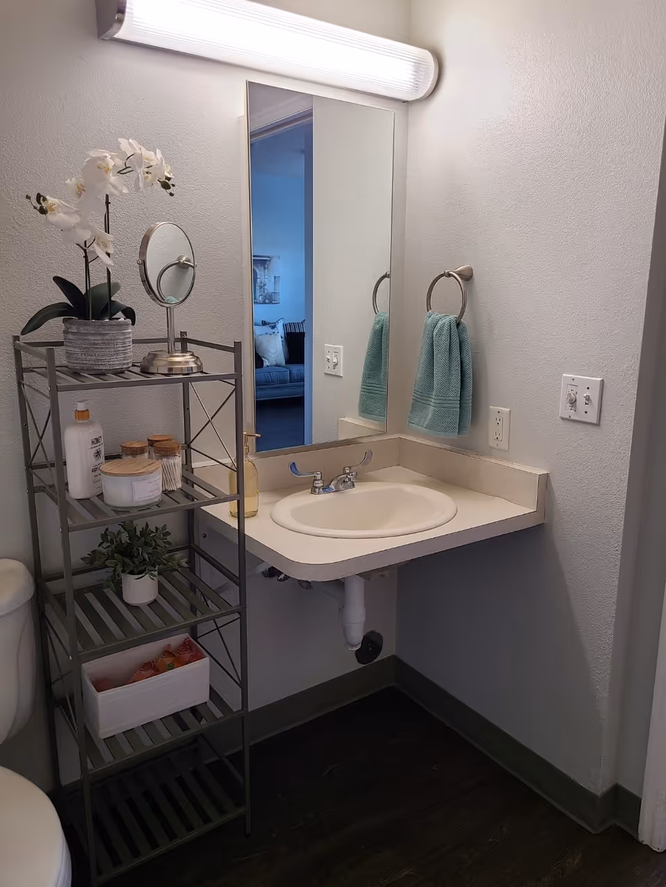 A small bathroom sink area with a mirror and light, a hand towel on a ring, and a metal shelving unit holding toiletries and plants.