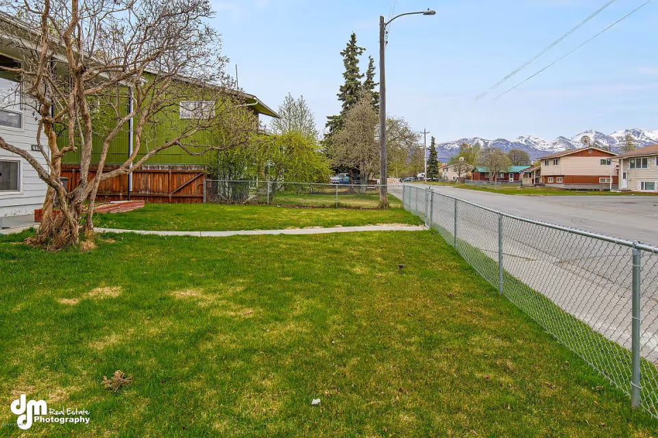 Grassy front yard with a chain-link fence, sidewalk, and houses along a street with snow-capped mountains in the background.