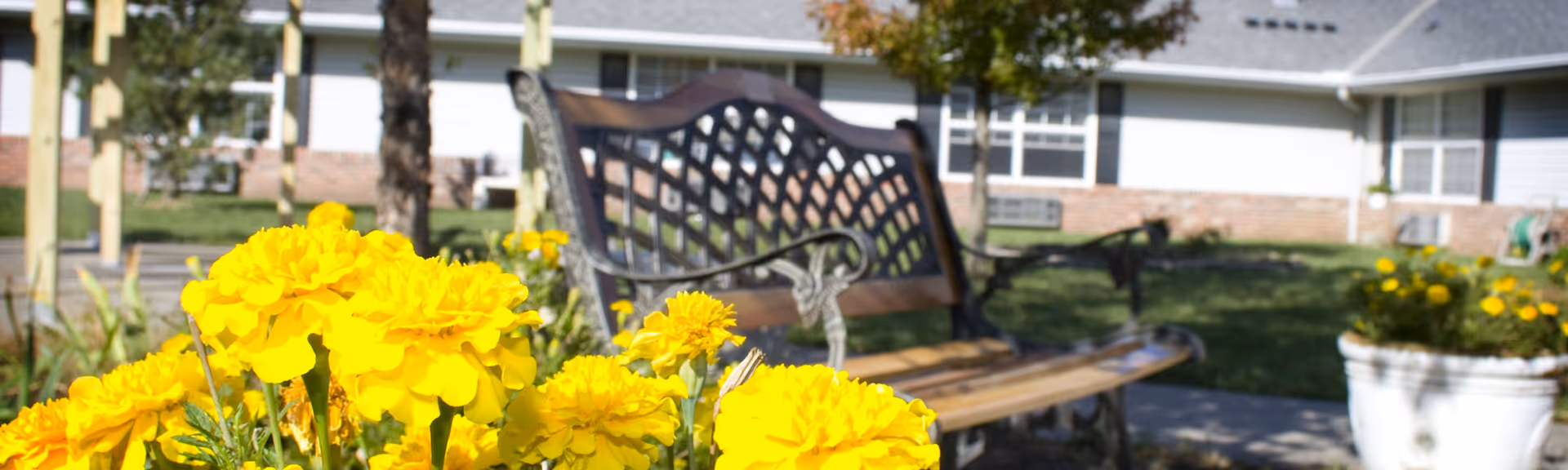 Close-up of bright yellow flowers in the foreground with a decorative wooden and metal bench and a residential building in the background, under a sunny sky.