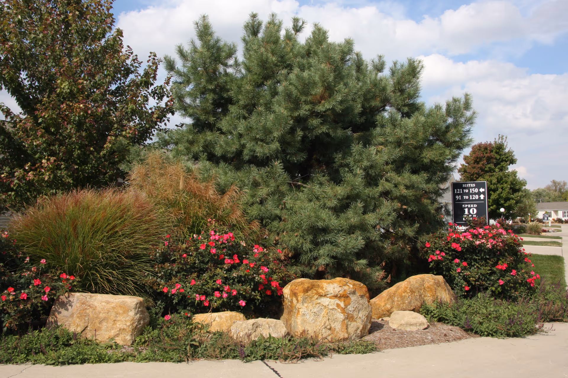 Outdoor garden area with large rocks, green pine tree, ornamental grasses, and blooming pink flowers under a partly cloudy sky. A black sign in the background indicates suite directions and a speed limit of 10 mph.