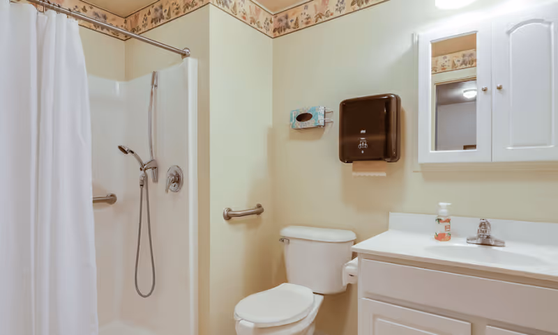 A clean bathroom with a white shower area featuring a handheld showerhead and a white curtain. There is a toilet with a grab bar on the wall beside it. A white vanity with a sink and a soap dispenser is next to the toilet. Above the sink is a white medicine cabinet with a mirrored door. The walls are light-colored with a floral border near the ceiling.