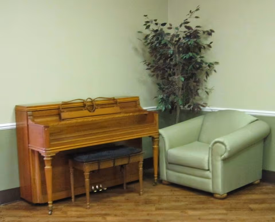 A corner of a room featuring a wooden upright piano with a matching bench, a green upholstered armchair, and a tall artificial plant against a two-tone wall with a chair rail.