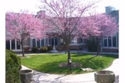 Courtyard with blooming pink trees, green lawn, curved walkways, and a surrounding single-story brick building.