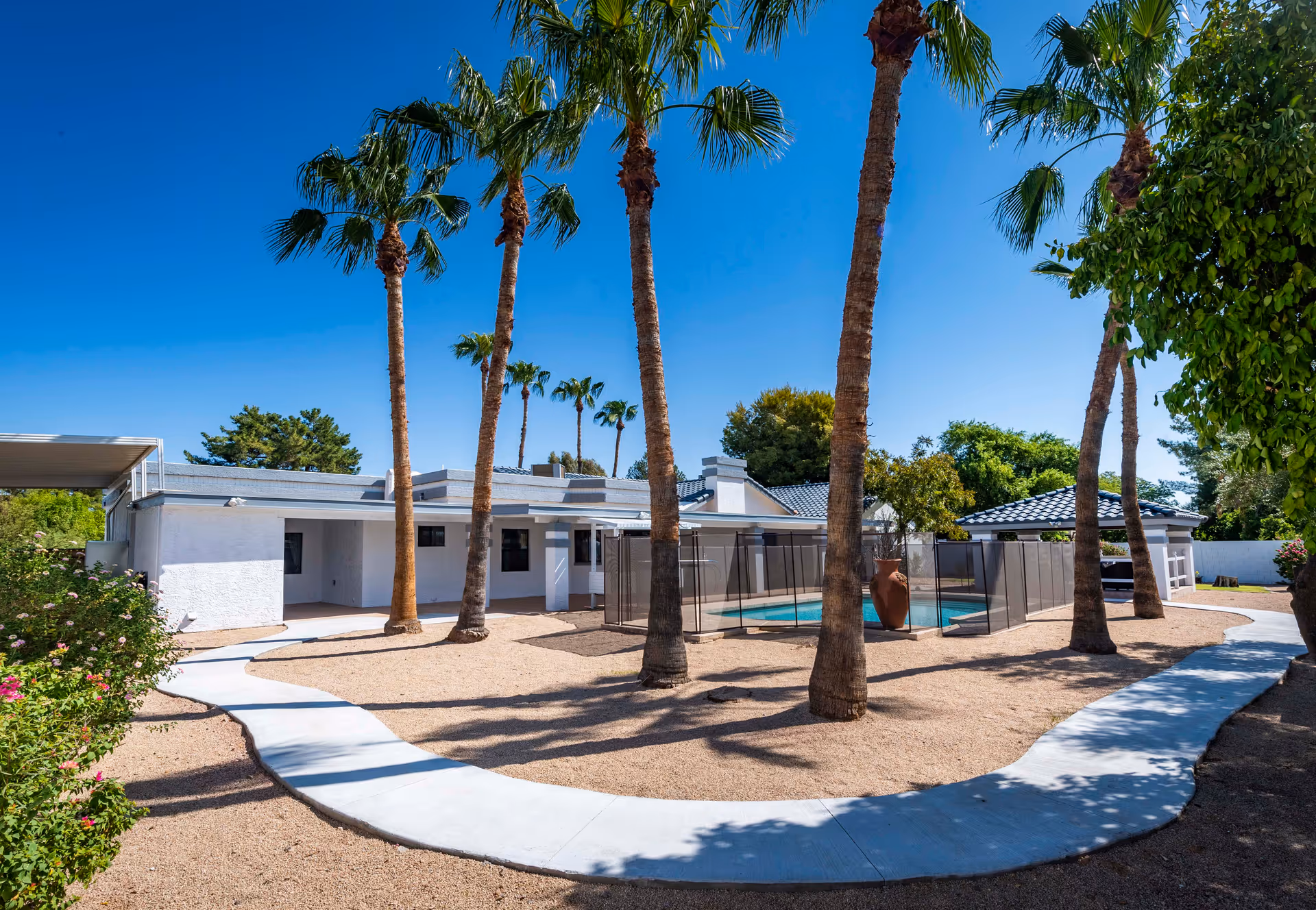 Outdoor view of Bella Vita Assisted Living at Cholla featuring a white building with a tiled roof, several tall palm trees, a fenced swimming pool, and a curved concrete walkway surrounded by gravel and greenery under a clear blue sky.