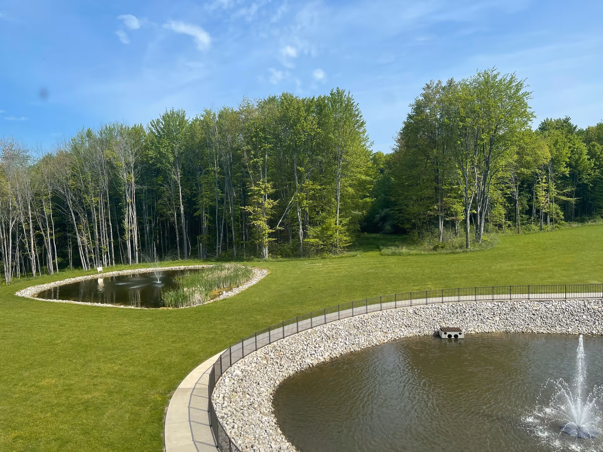 A scenic outdoor view featuring two small ponds with fountains, surrounded by green grass and bordered by a dense forest of tall trees under a clear blue sky.