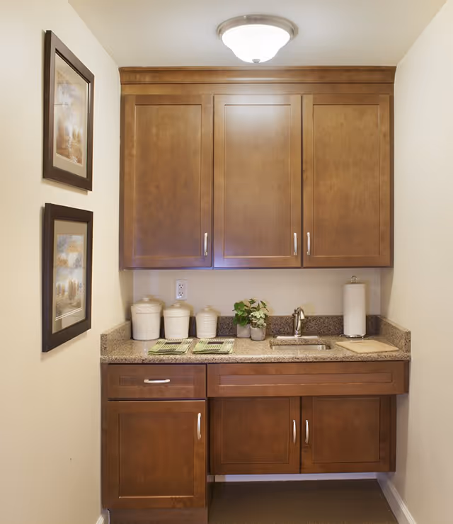 Small kitchenette area with wooden cabinets above and below a granite countertop. On the countertop are three white canisters, two small potted plants, a paper towel holder, and a small sink with a faucet. Two framed pictures hang on the left wall, and a ceiling light fixture is mounted above.