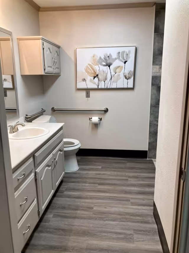 Accessible bathroom with a vanity and sink, toilet with grab bars, floral wall art, and wood-look vinyl flooring.