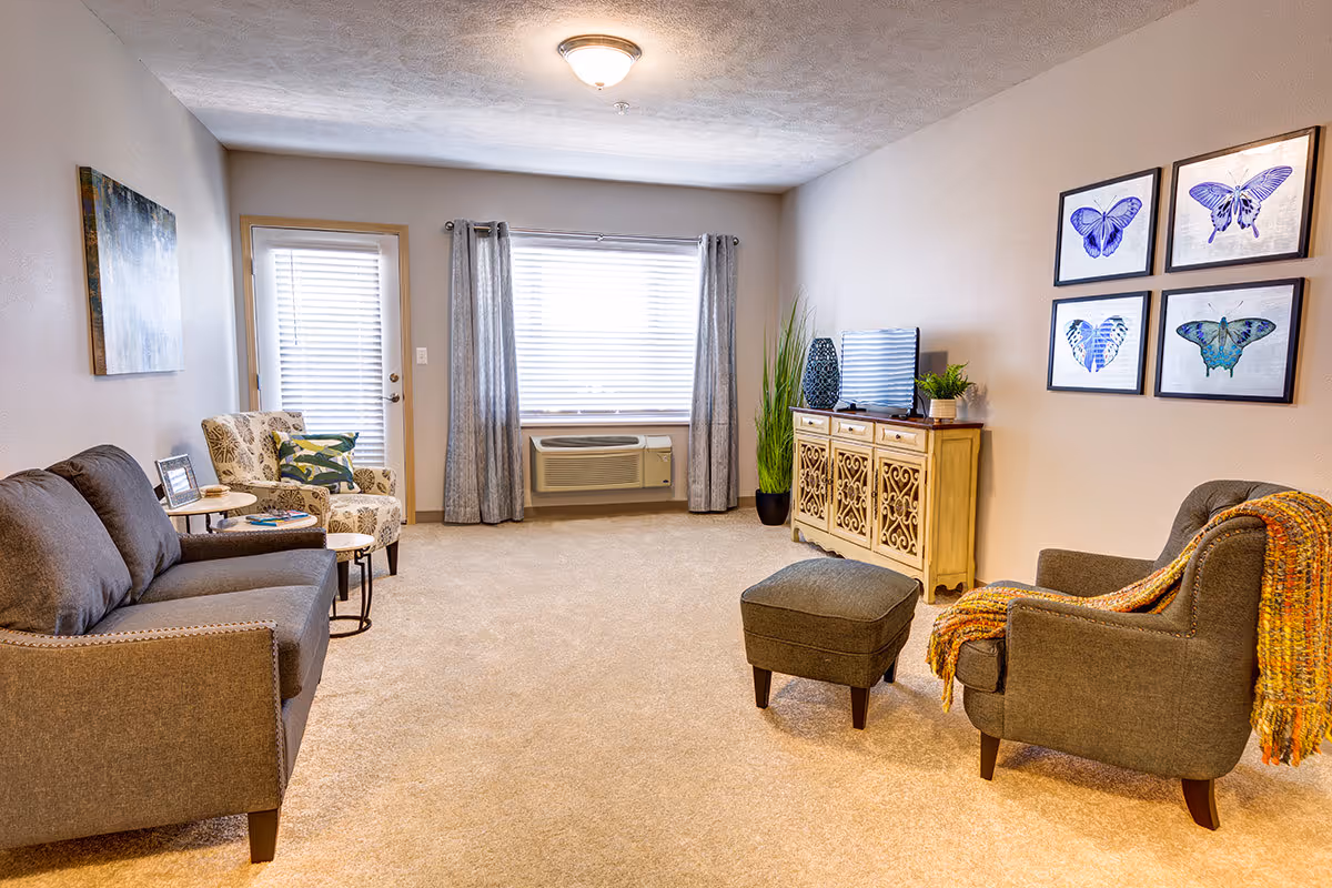 A cozy living room with beige carpet and neutral walls. The room features a gray sofa, a patterned armchair with a green pillow, a dark gray armchair with an orange and yellow throw blanket, and a matching ottoman. A cream-colored cabinet with intricate designs holds a flat-screen TV and decorative plants. Four framed butterfly artworks hang on the wall above the armchair. A window with gray curtains and a door with blinds are visible on the far wall.