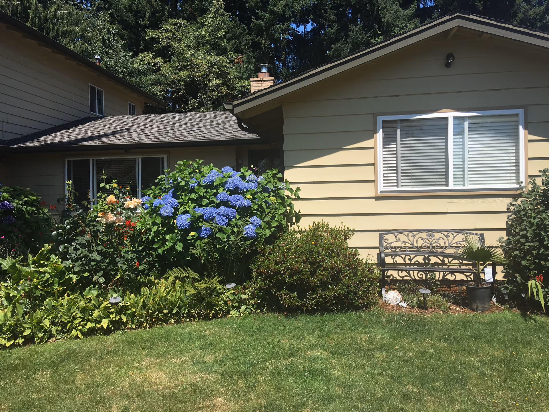 A garden area outside a beige house with a window and a decorative metal bench. The garden features green shrubs, blooming blue and peach flowers, and a well-maintained lawn under a sunny sky.