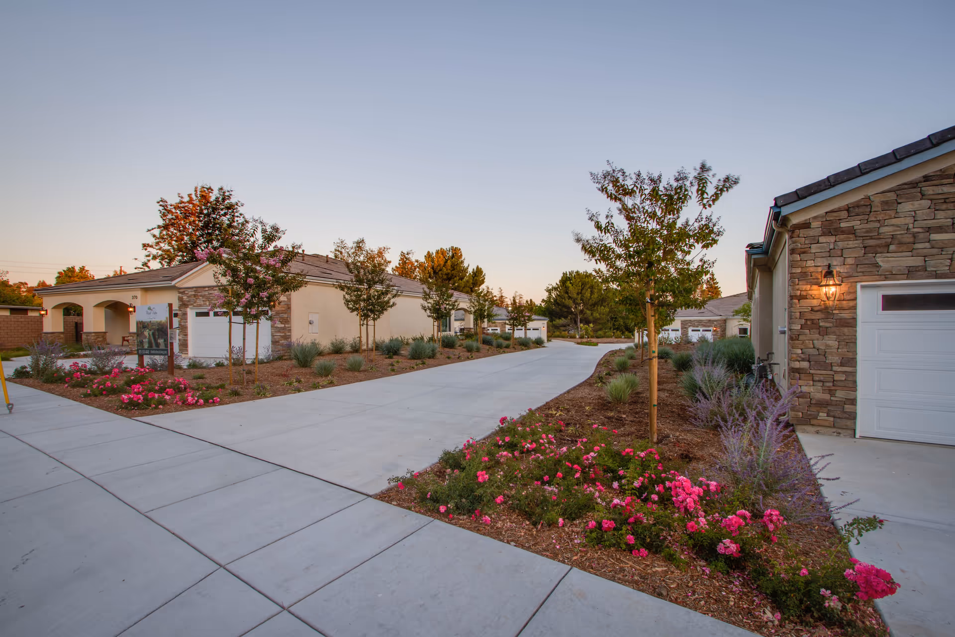 A paved driveway flanked by single-story residences, flowering beds, and young trees under a clear sky.