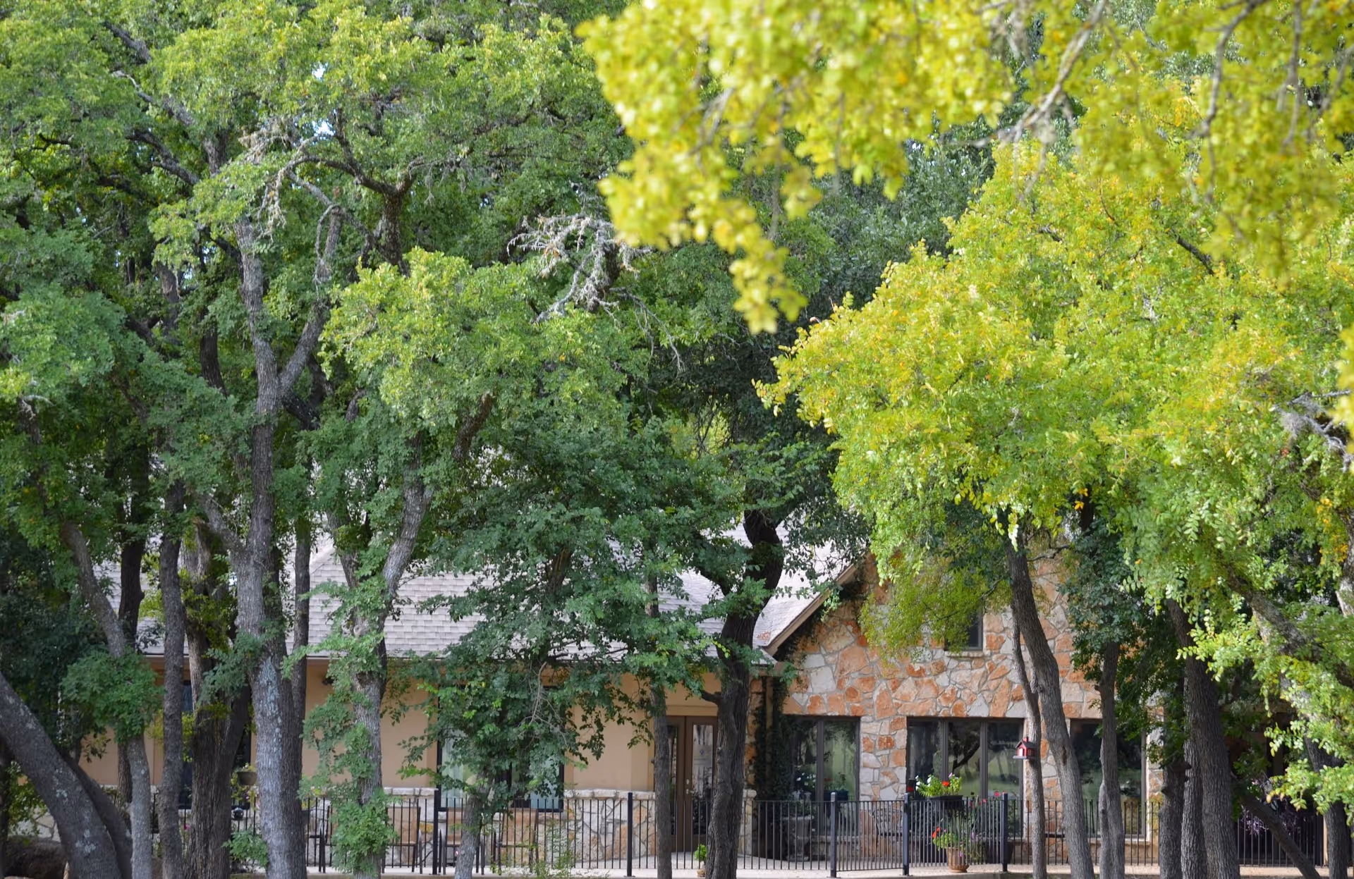 A stone and stucco building partially obscured by numerous green leafy trees, with a fenced patio area visible in front.