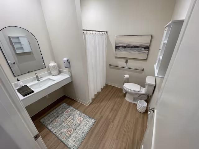 Accessible bathroom with a wall-mounted sink and mirror, shower with curtain, toilet with grab bar, artwork, and wood-look flooring.
