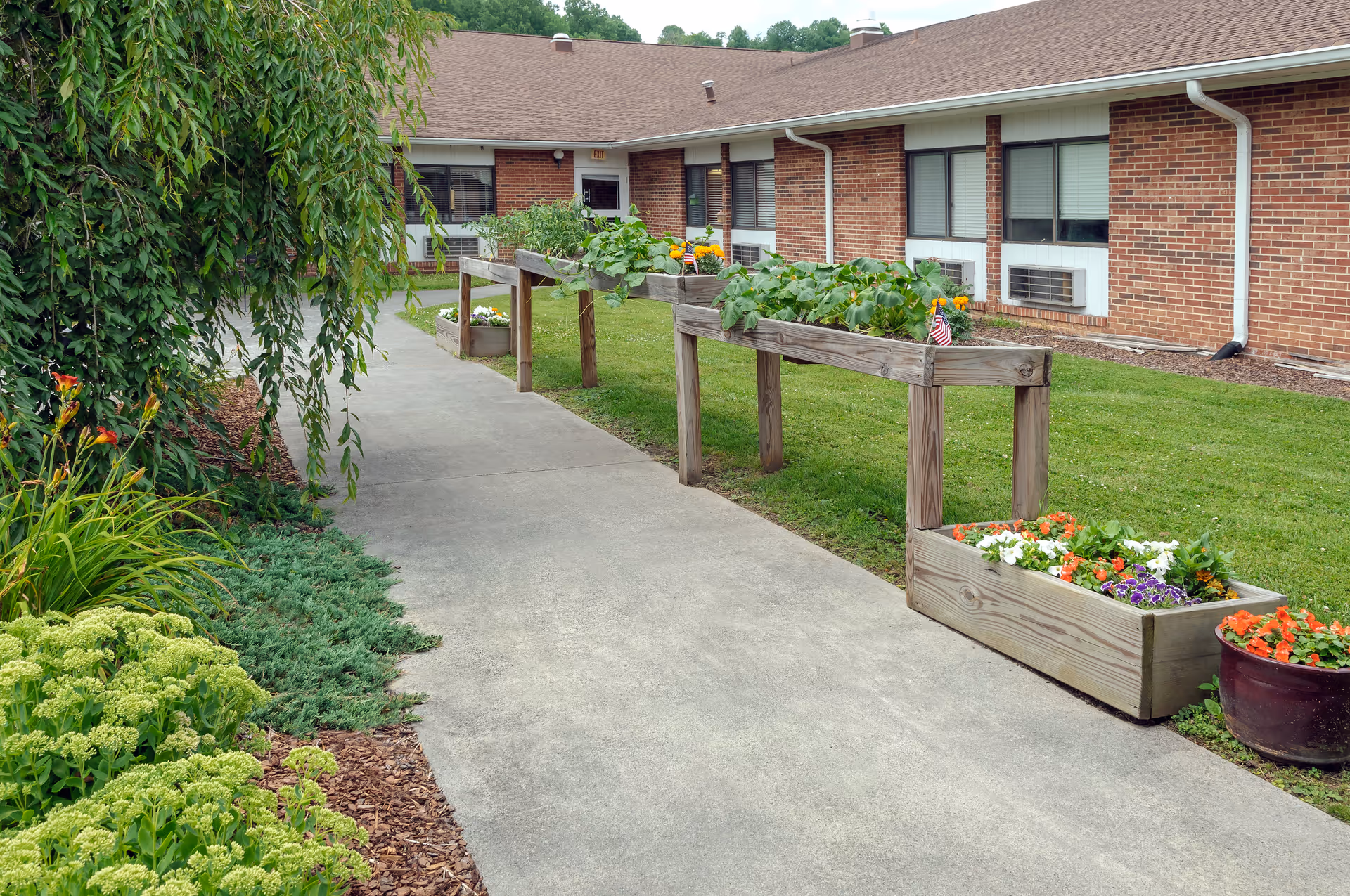 Concrete walkway beside a single-story brick building lined with raised wooden planters and flowering plants.