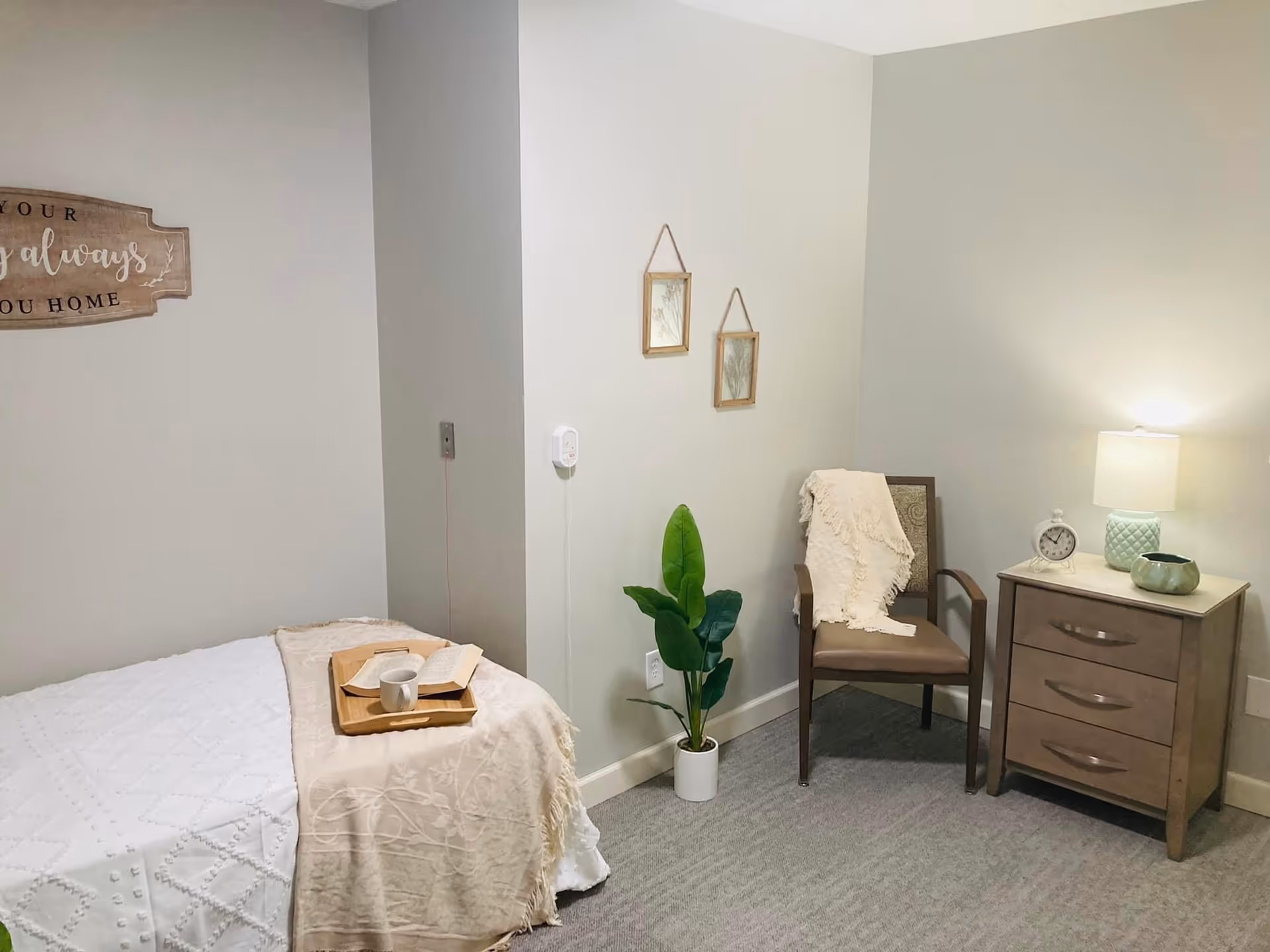 Small furnished bedroom with a single bed, bedside table and lamp, a chair with a throw, and a potted plant.