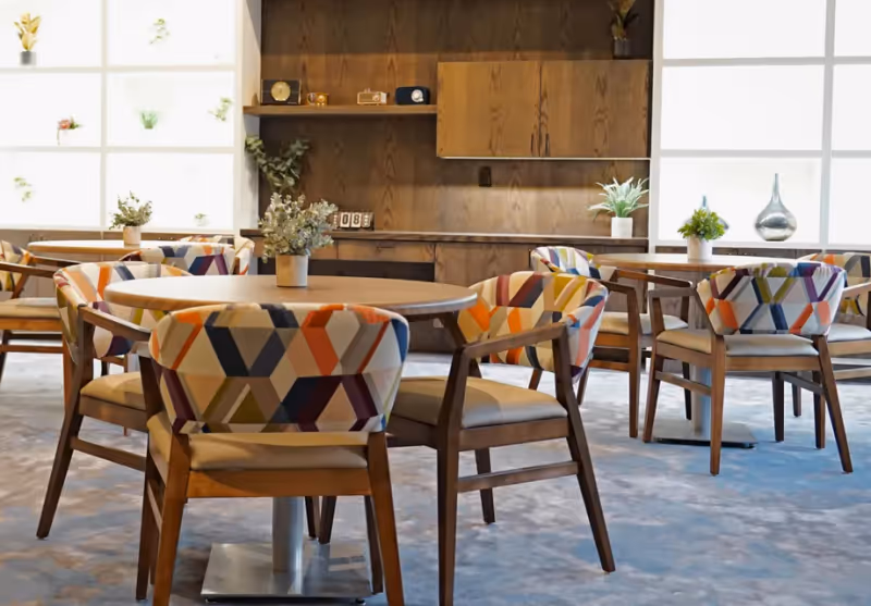 A bright and modern dining area with round wooden tables and colorful patterned chairs. The room features large frosted windows allowing natural light to fill the space. There are small potted plants on the tables and wooden cabinetry with decorative items on the back wall.