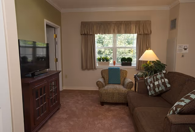 A furnished living room featuring a sofa with patterned pillows, an armchair, a TV on a wooden cabinet, a lamp, and a window with potted plants.
