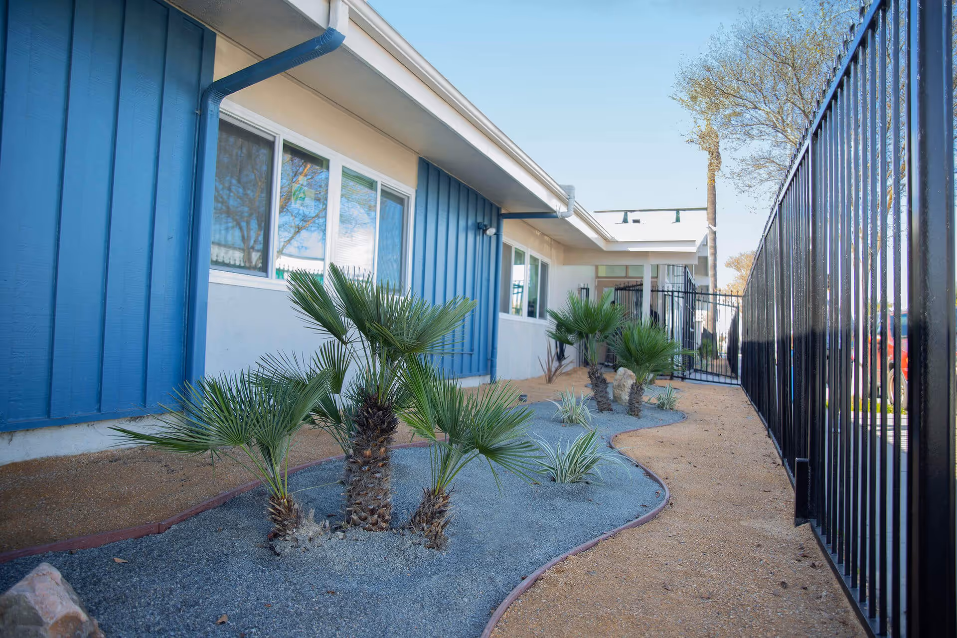Outdoor landscaped area alongside a building with blue siding and windows. The area features small palm trees and other plants in a gravel bed bordered by a curved edge. A black metal fence runs along the right side of the image with a gate in the background under a clear blue sky.