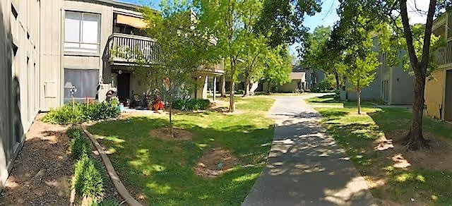 Outdoor view of a senior living facility with a paved walkway surrounded by grass, trees, and shrubs. The buildings have balconies and windows, and the area is shaded by tall trees.