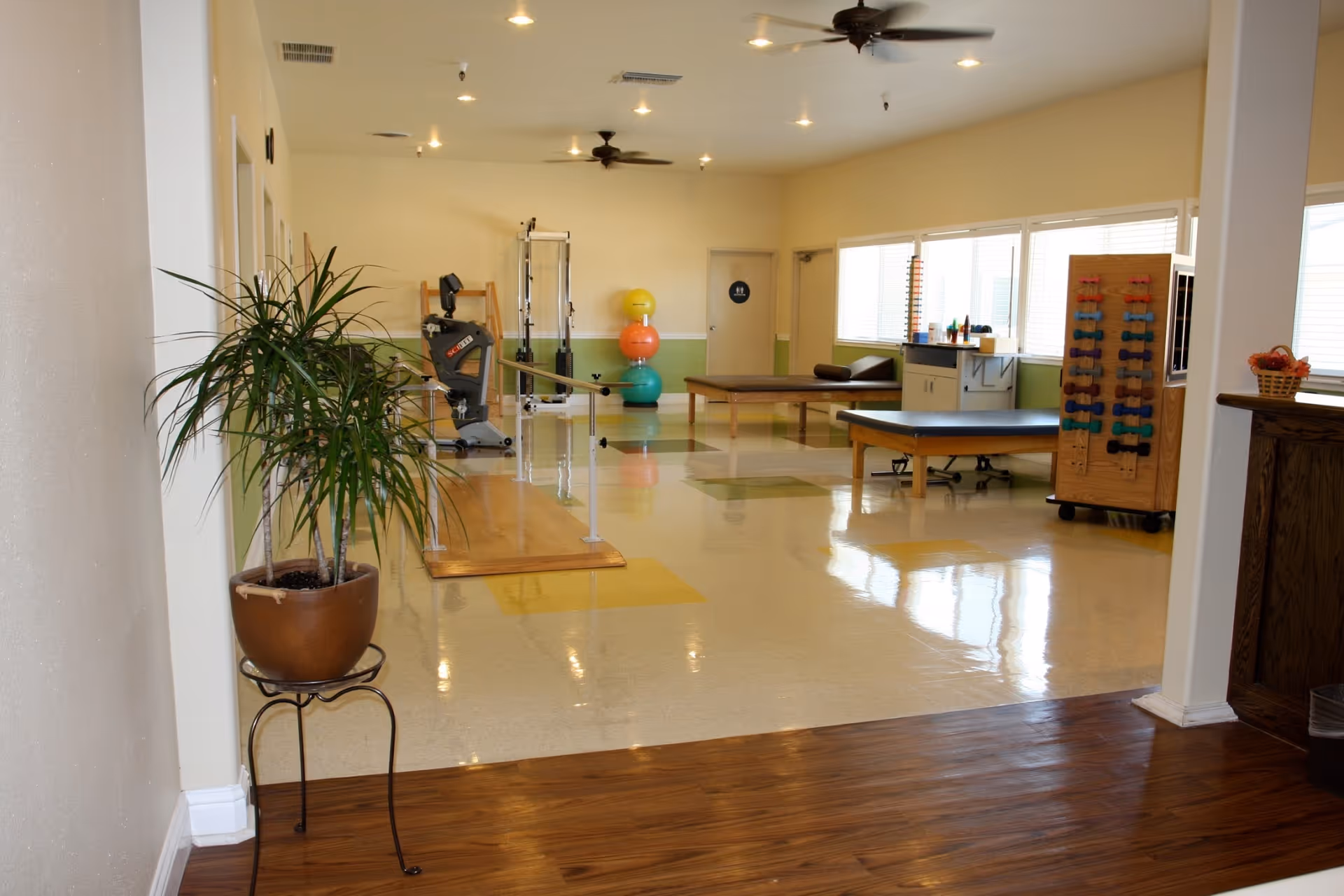 Interior view of a rehabilitation or physical therapy room with exercise equipment, therapy tables, colorful exercise balls, and a rack of small dumbbells. The room has large windows letting in natural light, ceiling fans, and a potted plant near the entrance.