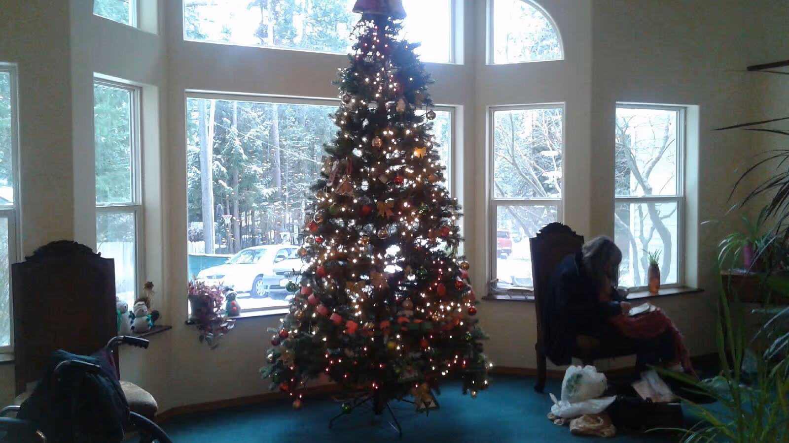 A decorated Christmas tree with lights and ornaments stands in front of large windows showing a snowy outdoor scene. To the right, an elderly person is seated on a chair near the window, engaged in an activity. The room has a cozy atmosphere with some plants and additional chairs.