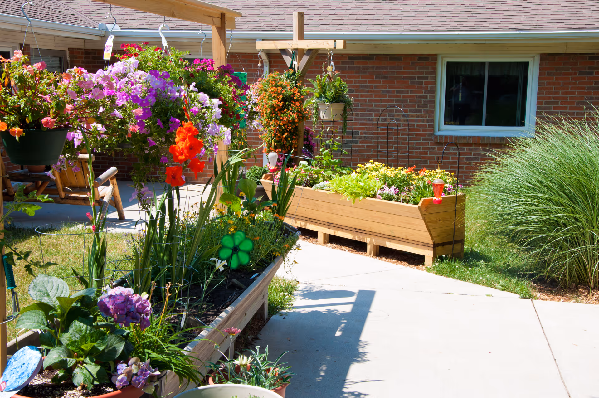 A sunny outdoor garden area with colorful flowers in raised wooden planters and hanging pots. There is a wooden swing bench under a pergola, a brick building with a window in the background, and a concrete pathway running through the garden.