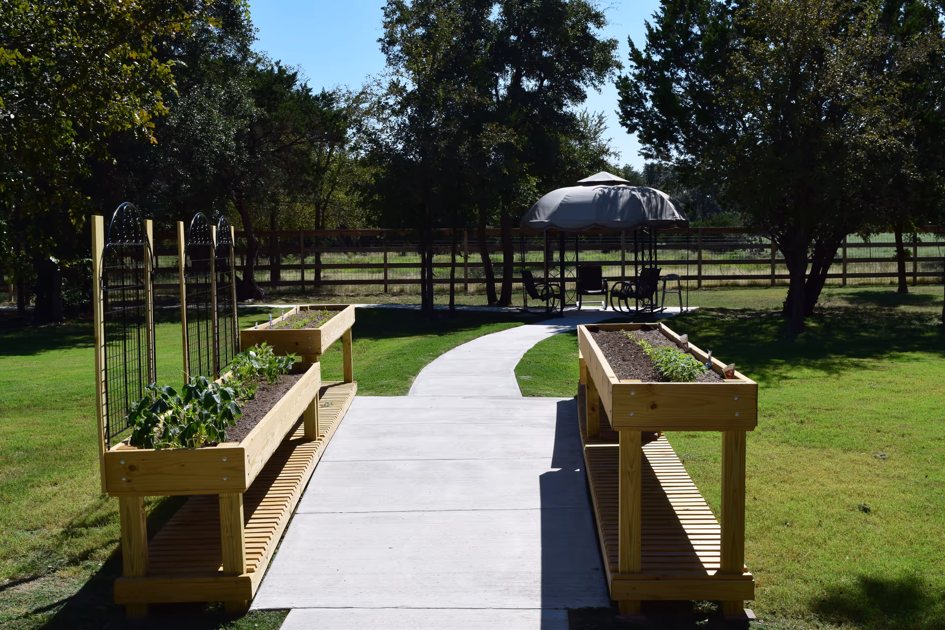 A sunny outdoor garden area with two raised wooden planter boxes on either side of a concrete pathway. The planters contain small plants and trellises. The pathway leads to a shaded seating area with a canopy and several chairs, surrounded by green grass and trees with a wooden fence in the background.