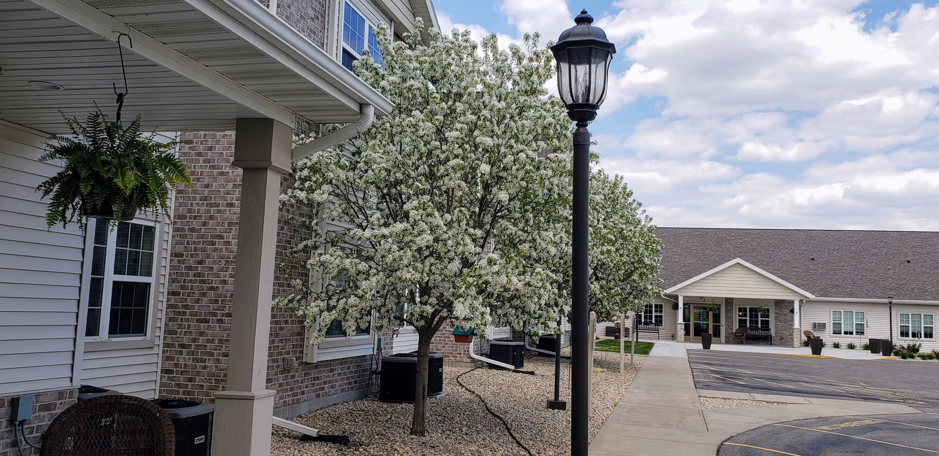 Front entrance of a senior living building with a paved walkway, lamp post, and blooming trees along the facade.