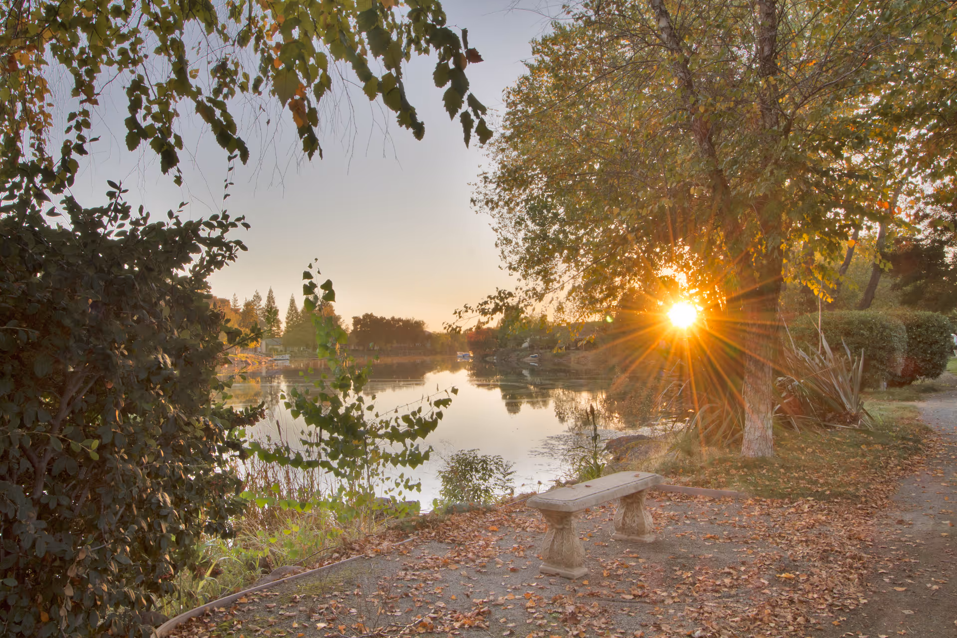 A peaceful outdoor scene at sunset with a stone bench near a calm lake surrounded by trees with autumn leaves. The sun is shining through the branches of a tree, casting a warm glow over the area.