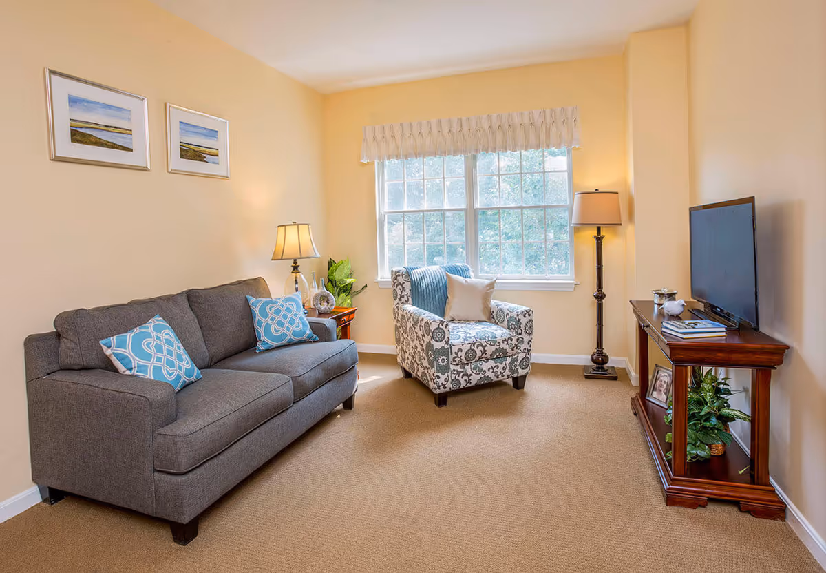 A cozy living room with a gray sofa adorned with two blue patterned pillows, a patterned armchair with a blue throw and a beige pillow, a wooden side table with a lamp and decorative items, a large window with a white valance, a floor lamp, and a wooden TV stand holding a flat-screen TV, books, a small plant, and a framed photo.