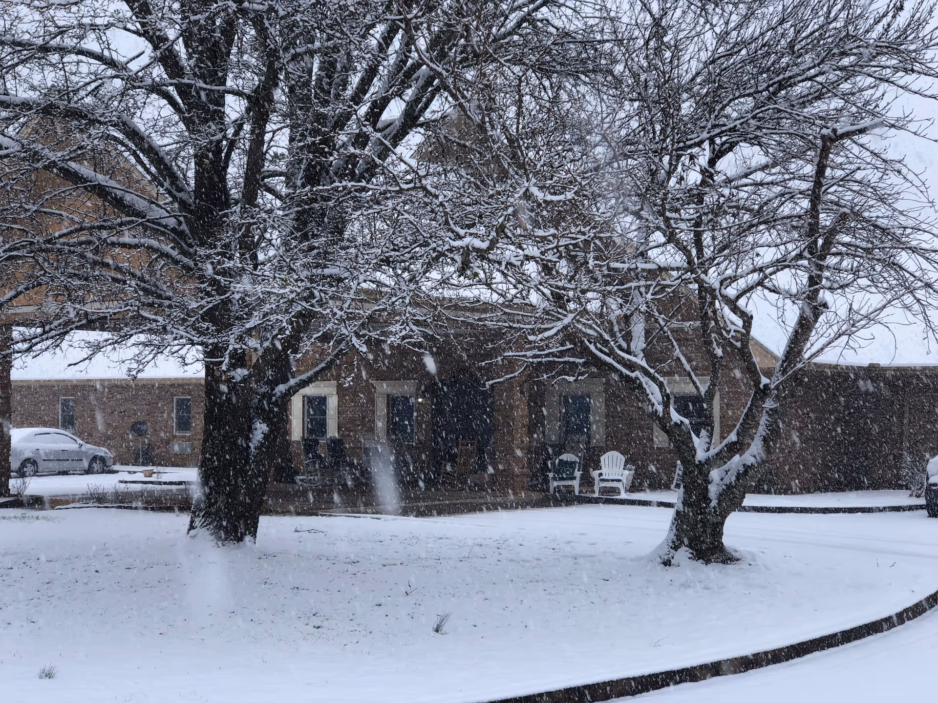 Snow-covered ground and trees with bare branches in front of a brick building during a snowfall. Two white chairs are visible near the building entrance, and a car is parked on the left side.