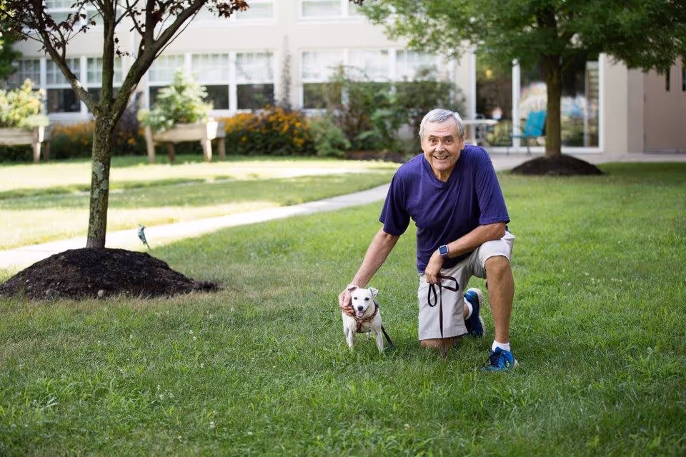 An elderly man wearing a purple shirt and beige shorts kneels on a grassy lawn while holding a small white dog on a leash. Behind them is a building with large windows and some trees and bushes in the garden area.