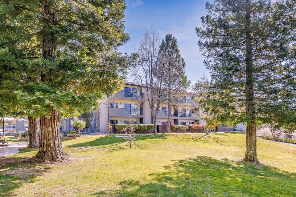 A sunny outdoor area with green grass and several large trees in front of a three-story senior living facility building with balconies and windows.