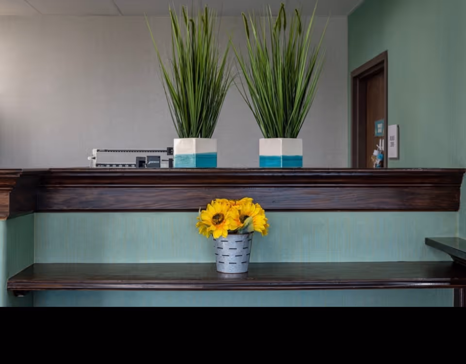 Reception desk interior with two tall potted plants on the counter and a small pot of sunflowers on a lower shelf.